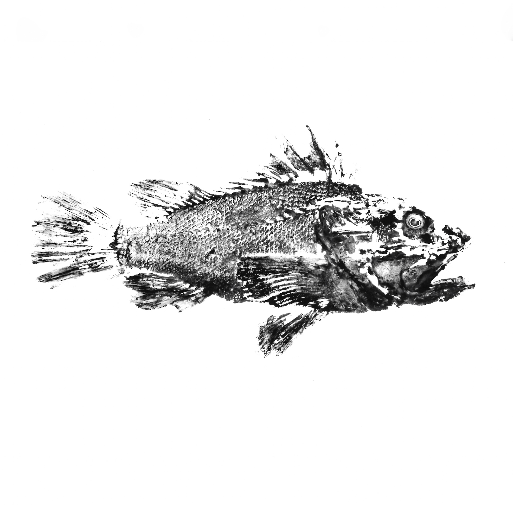 GA Gyotaku  |  Il mare su tela